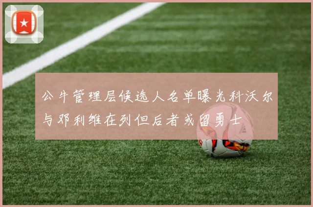 公牛管理层候选人名单曝光科沃尔与邓利维在列但后者或留勇士